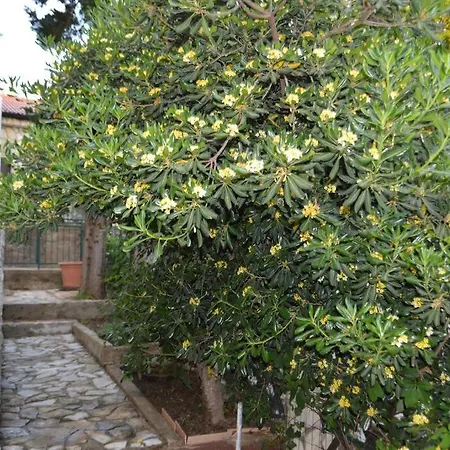In Maslenica Apartament *