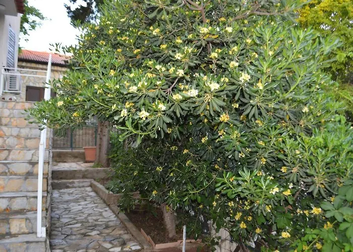 Maslenica - 3Br Apartment Near Beach & National Parks Апартаменты *